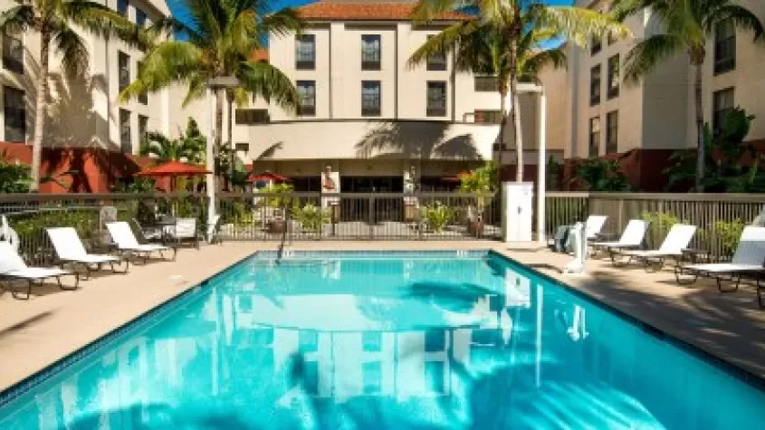 Pool surrounded by palm trees