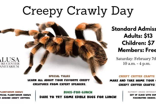 Creepy Crawly Day
