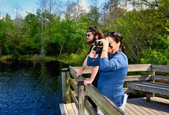 Group at Six Mile Cypress Slough Preserve
