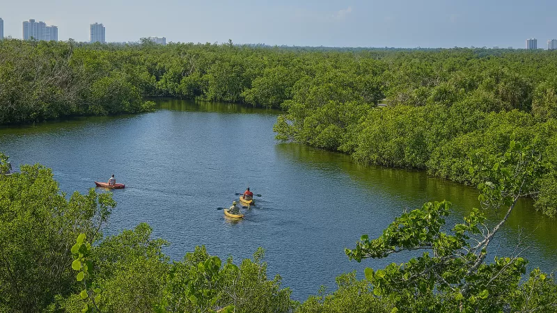 Kayakers at Lovers Key State Park